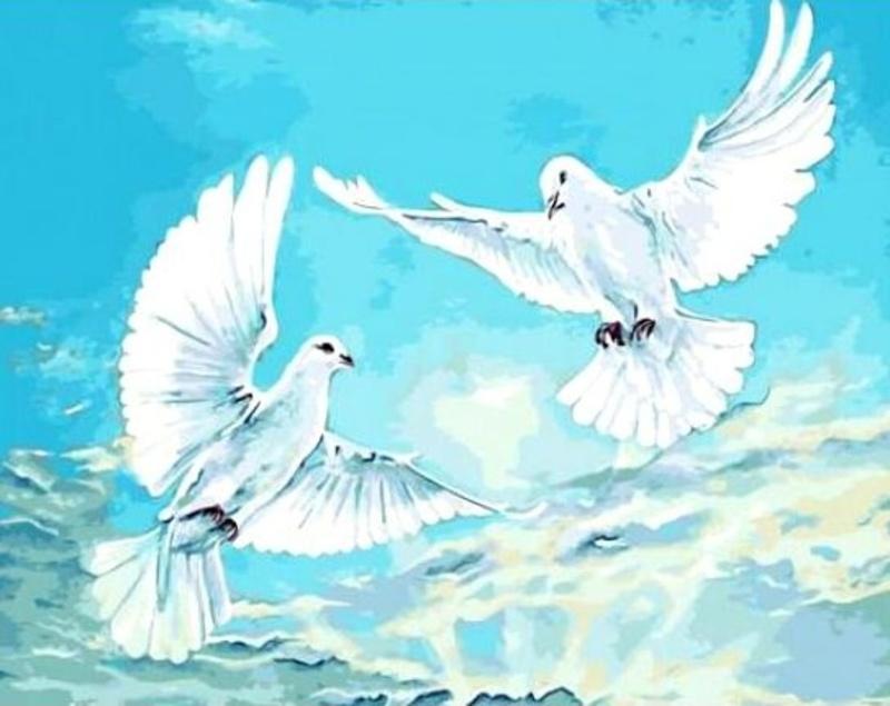 Картинки белые голуби в голубом небе (54 фото) » Картинки и статусы про  окружающий мир вокруг