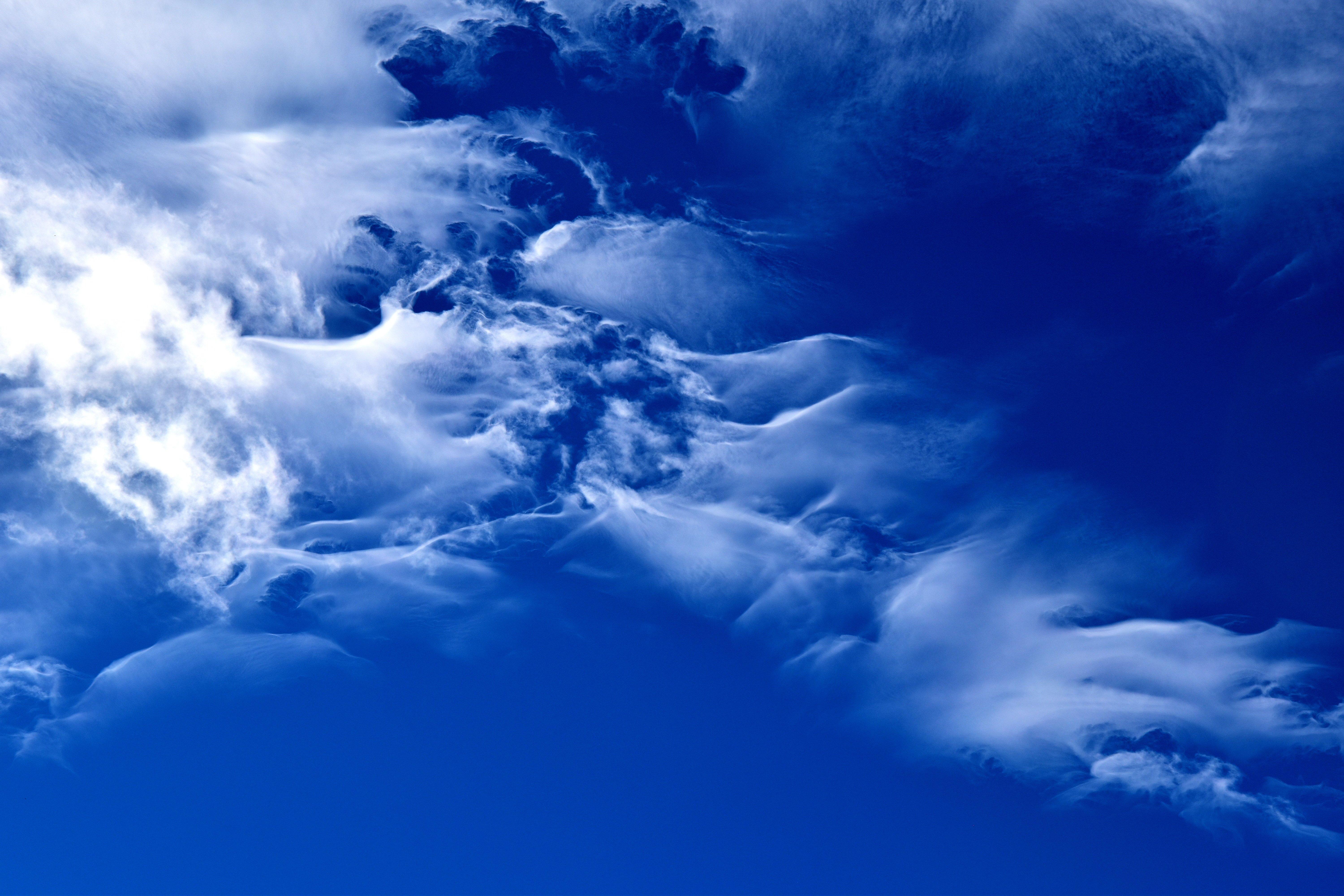 Много рук на фоне голубого неба Stock Photo | Adobe Stock
