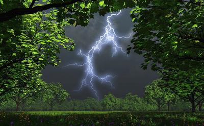 Сильный дождь гроза ветер ураганный …» — создано в Шедевруме