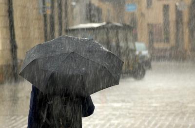 Дождь, гроза и до плюс 20 градусов ожидается в Реутове в пятницу - Общество  - РИАМО в Реутове