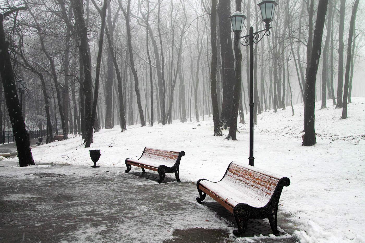 лесное кладбище зимой Фото Фон И картинка для бесплатной загрузки - Pngtree