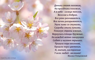 Красивые стихи о весне | Стихи, Весна, Лирика