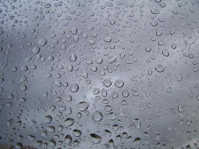 Фотообои Капли дождя на стену. Купить фотообои Капли дождя в  интернет-магазине WallArt