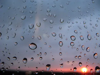 Скачать картинки Капли дождя, стоковые фото Капли дождя в хорошем качестве  | Depositphotos