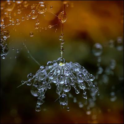 Капли дождя на стеклянной фон. Дождевые капли на стекле с отражением  Стоковое Фото - изображение насчитывающей влажно, картина: 202320060