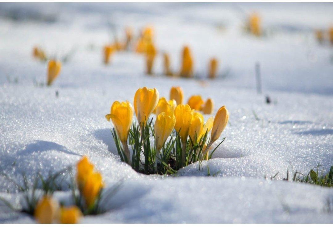Картинки конец зимы начало весны фотографии