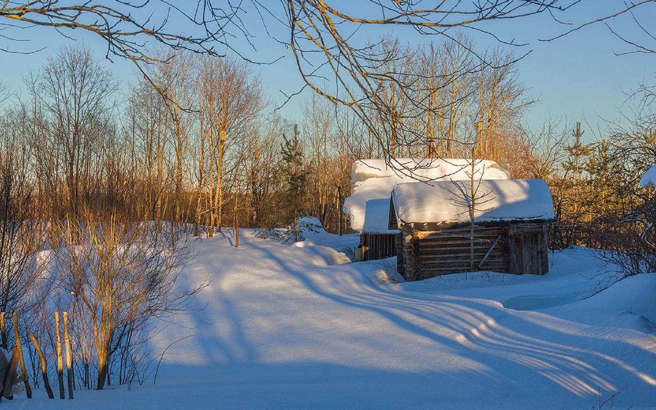 Фото Конец зимы - фотограф Павлович Ярослав - природа, макро и крупный  план, разное - ФотоФорум.ру