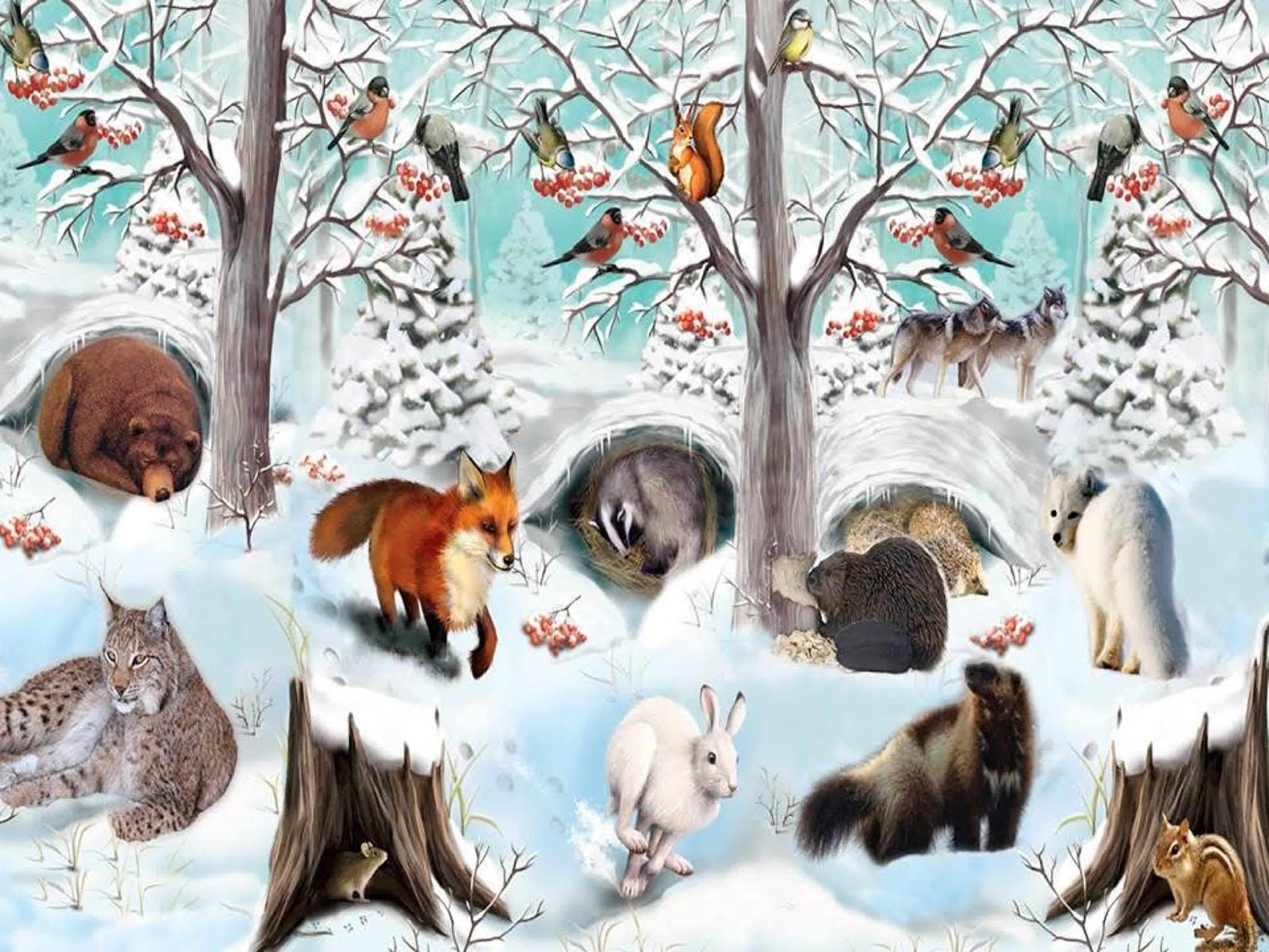 Картинки лесные звери зимой фотографии