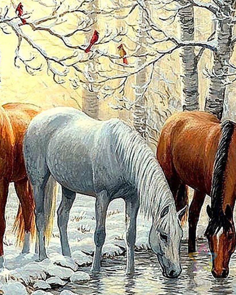 Тройка лошадей зимой - фото и картинки: 90 штук