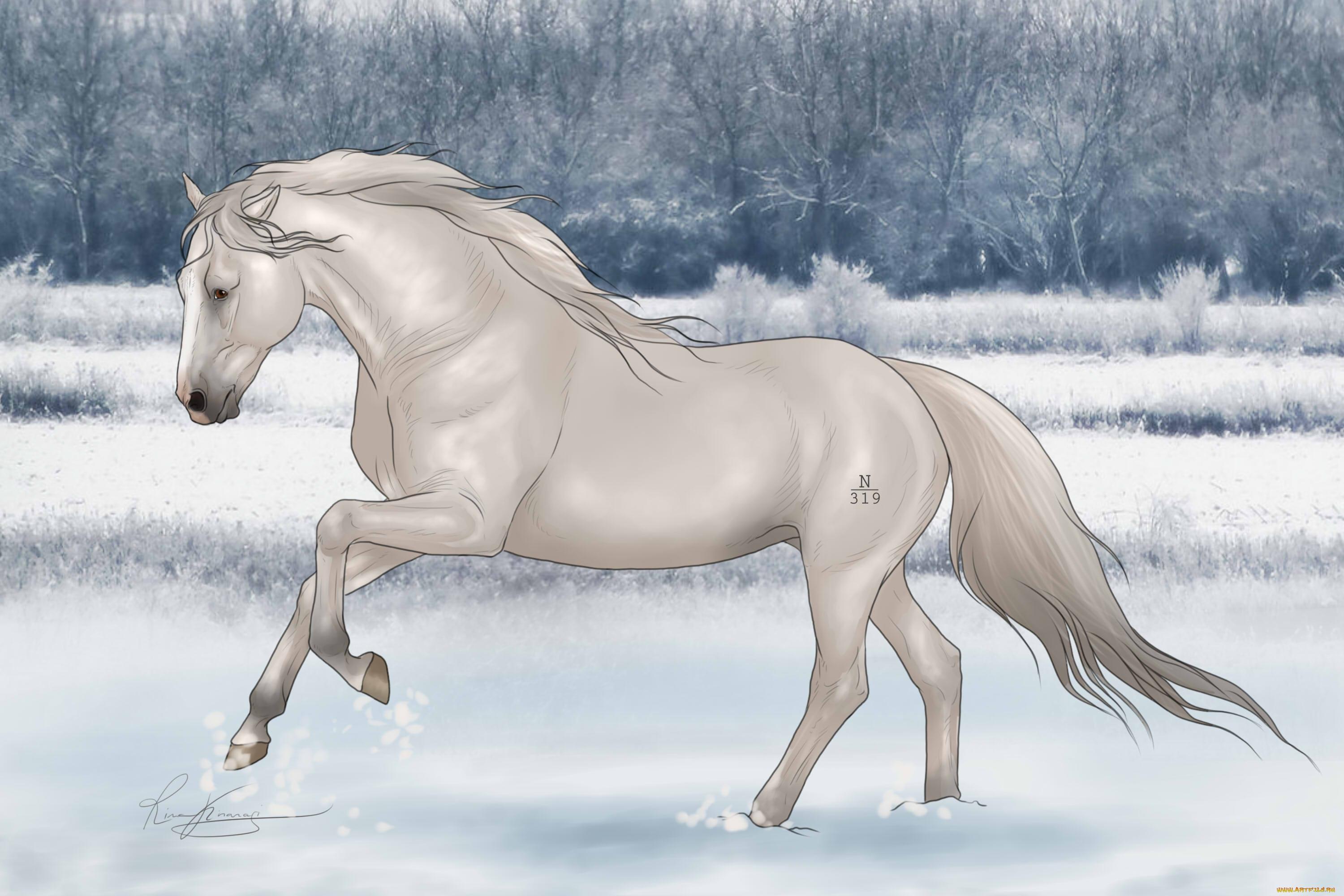 Онлайн пазл «Лошадь зимой»