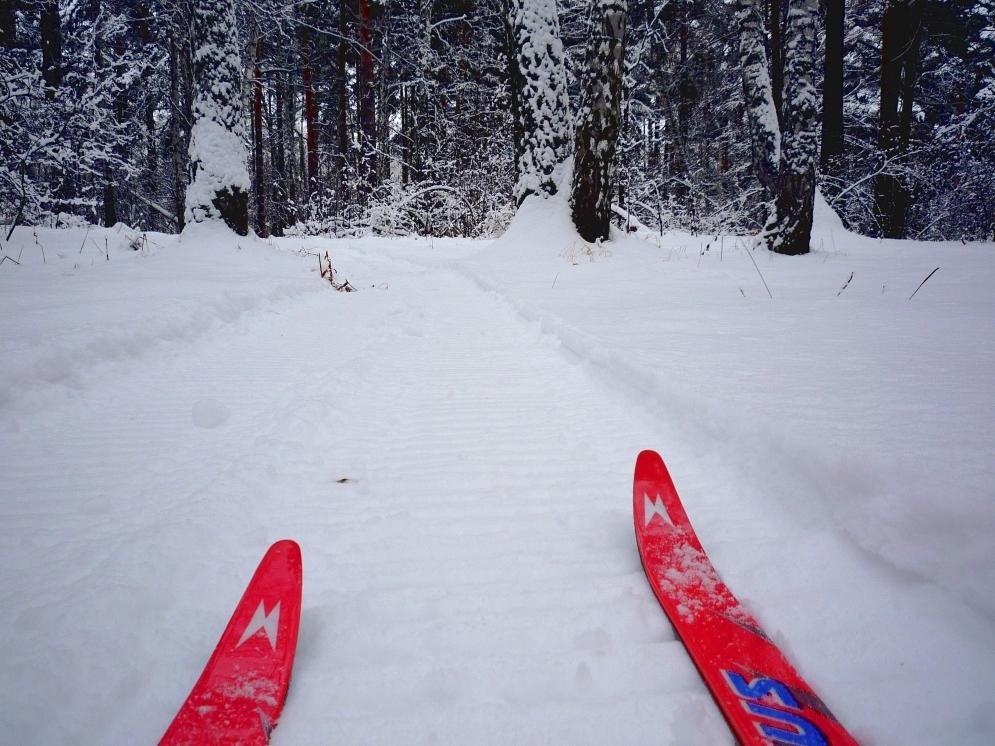 Лучший зимний спорт. Беговые лыжи: польза и правильная техника - Виды  спорта - Фитнес - MEN's LIFE