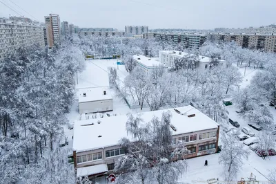 Куда сходить в Москве зимой - Что посмотреть в столице
