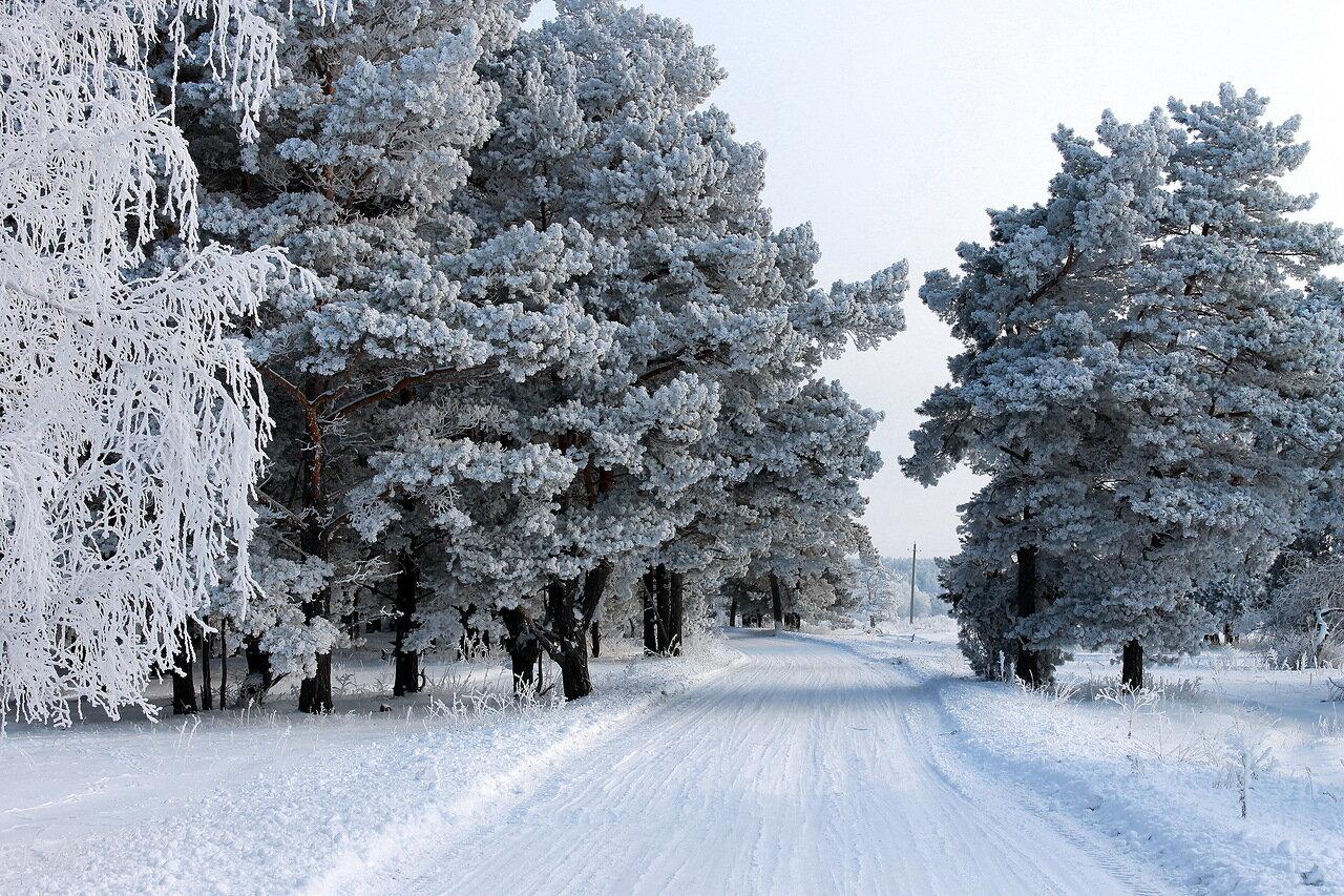 Красная площадь зимой | Зимняя фотография, Фотосессия, Фотография дыма
