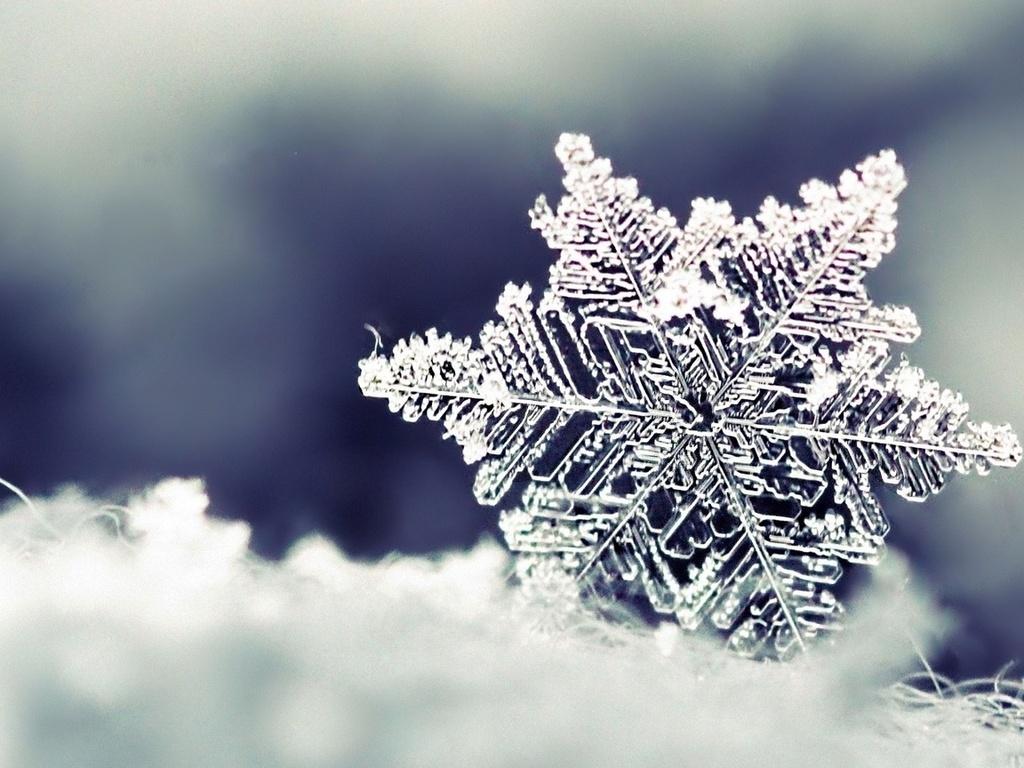 Красивая зима - 76 фото