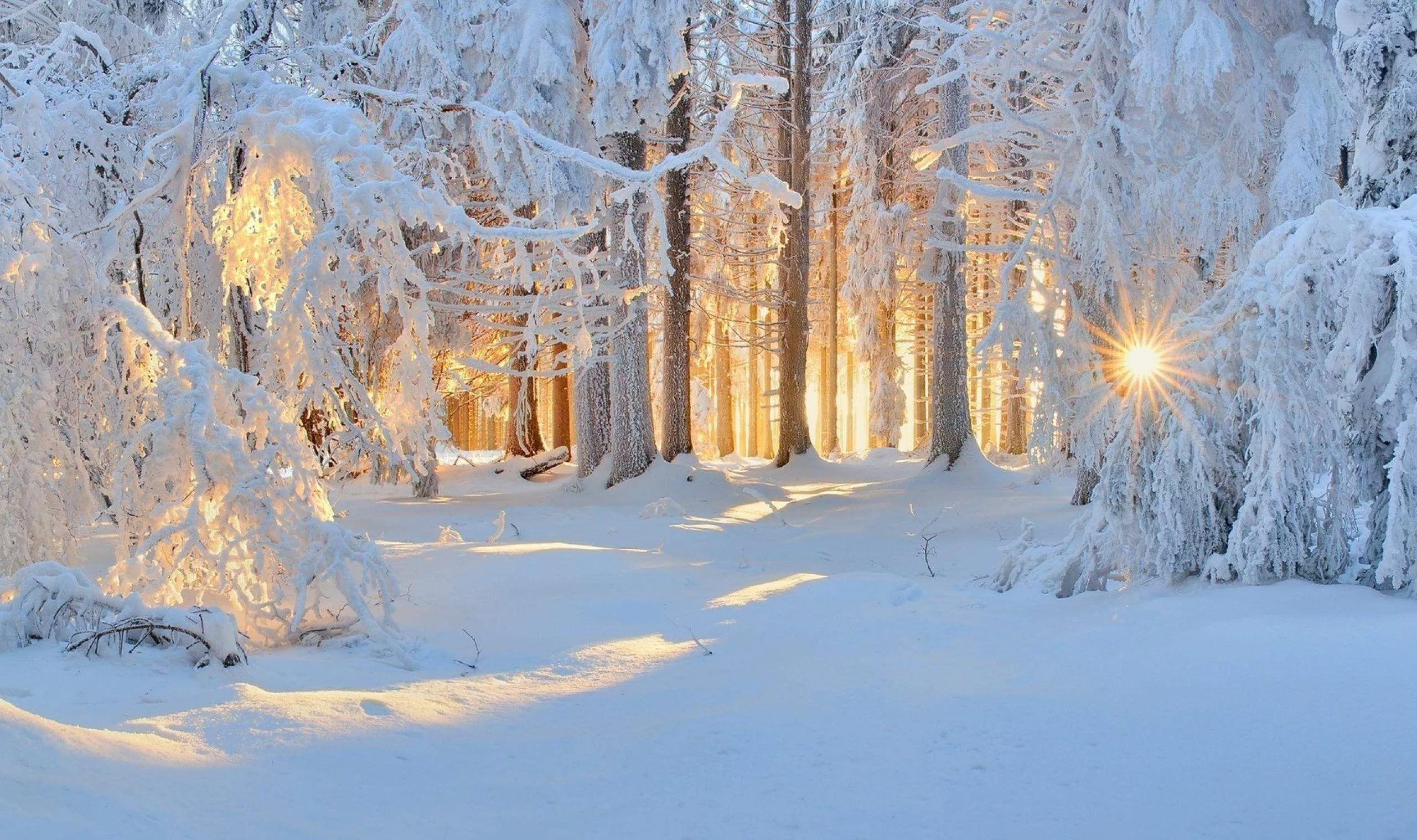 заставка на экран компьютера зима: 13 тыс изображений найдено в  Яндекс.Картинках | Winter nature, Winter scenes, Winter photography