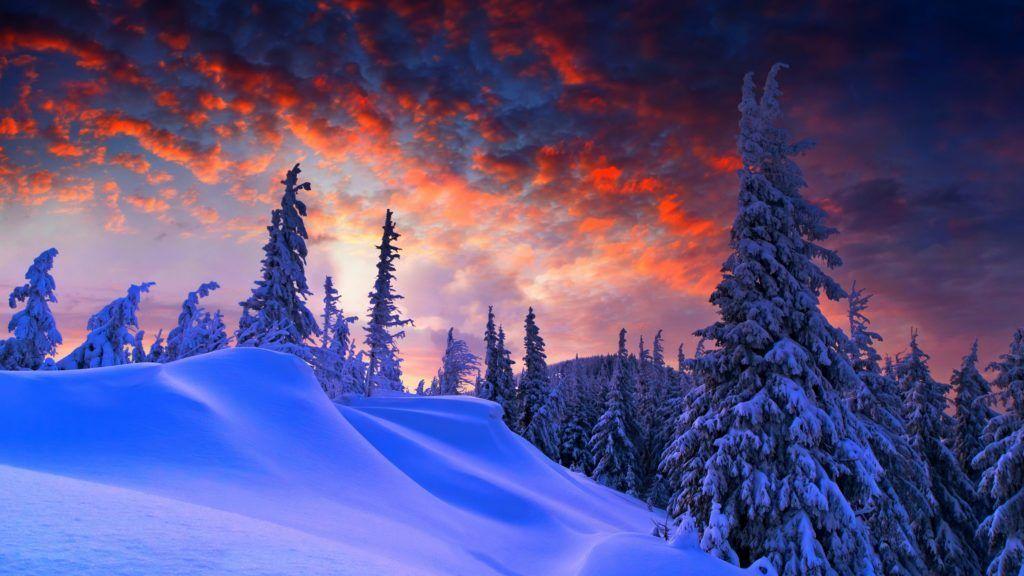Обои \"Зима и Новый год\" на рабочий стол: самые яркие! | Пейзажи, Закаты,  Фотообои