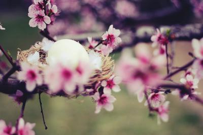 Оформление весны с иллюстрацией цветов и сердца листьев для обложки  Facebook Иллюстрация штока - иллюстрации насчитывающей вектор, весна:  173976703