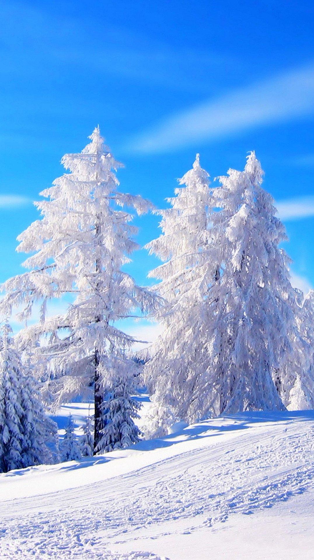 Обои на телефон елка, гирлянды, снег, зима, новый год - скачать бесплатно в  высоком качестве из категории \"Праздники\"