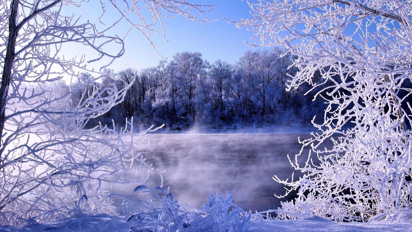 Обои зимняя природа, иней, снег, олень, снежные горы скачать 1366x768