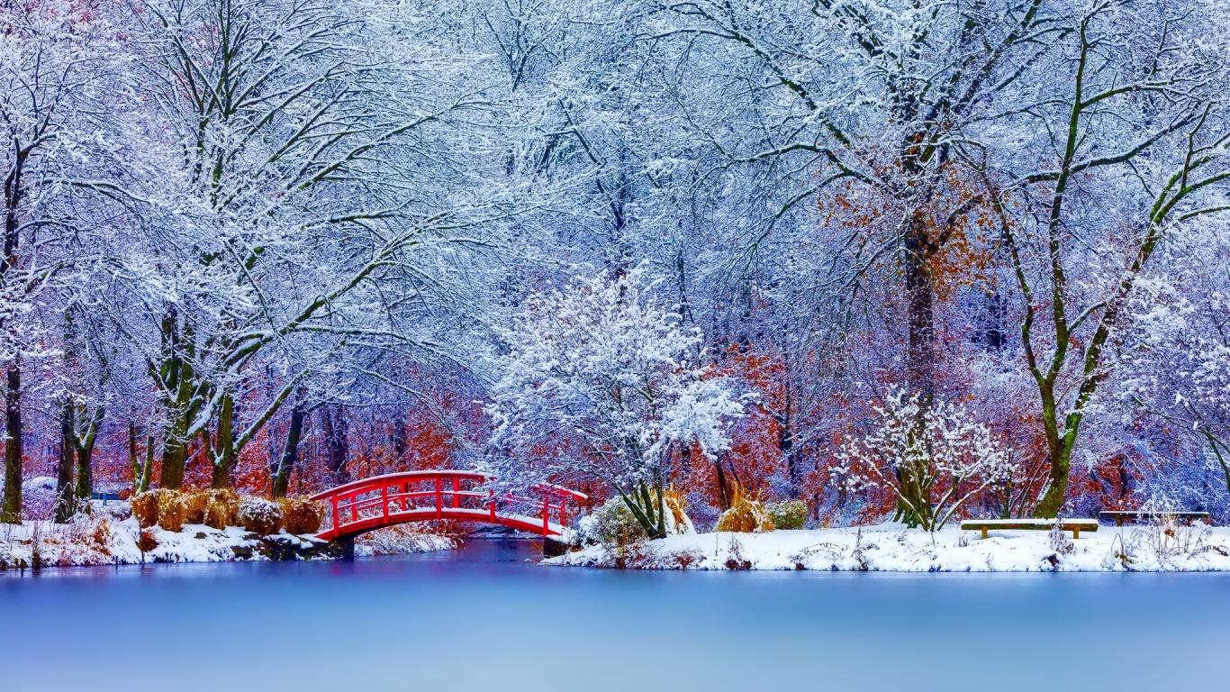 Картинка на рабочий стол снег, парк, река, лед, деревья, мороз, зима 1366 x  768