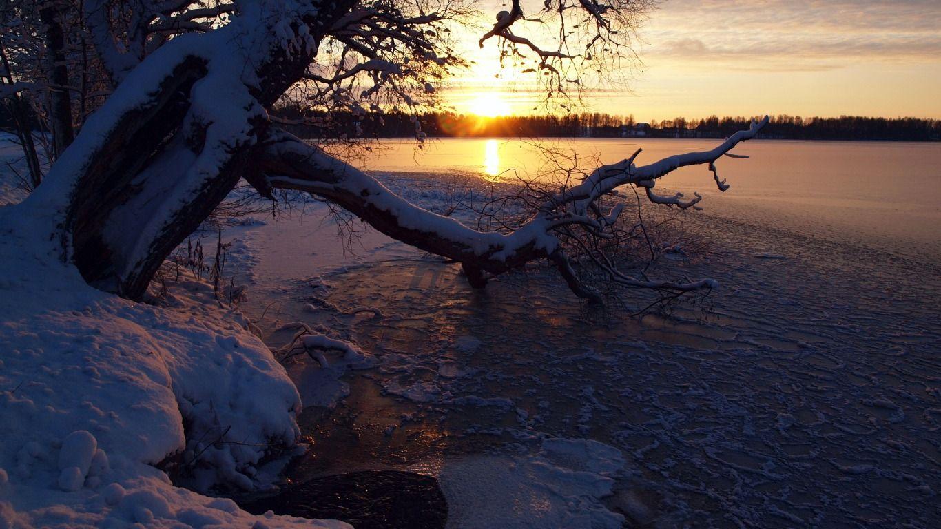 Скачать обои небо, закат, зима, река, снег, дерево, раздел природа в  разрешении 1366x768 | Восходящее солнце, Закаты, Природа