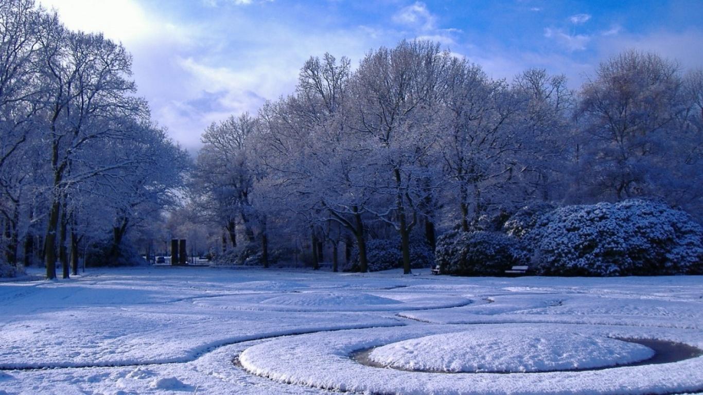 Зима в парке Обои для рабочего стола 1366x768