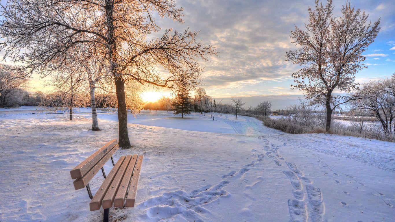 1366x768 Wallpaper winter, snow, dawn, footprints, bench | Winter wallpaper  desktop, Winter wallpaper, Winter background