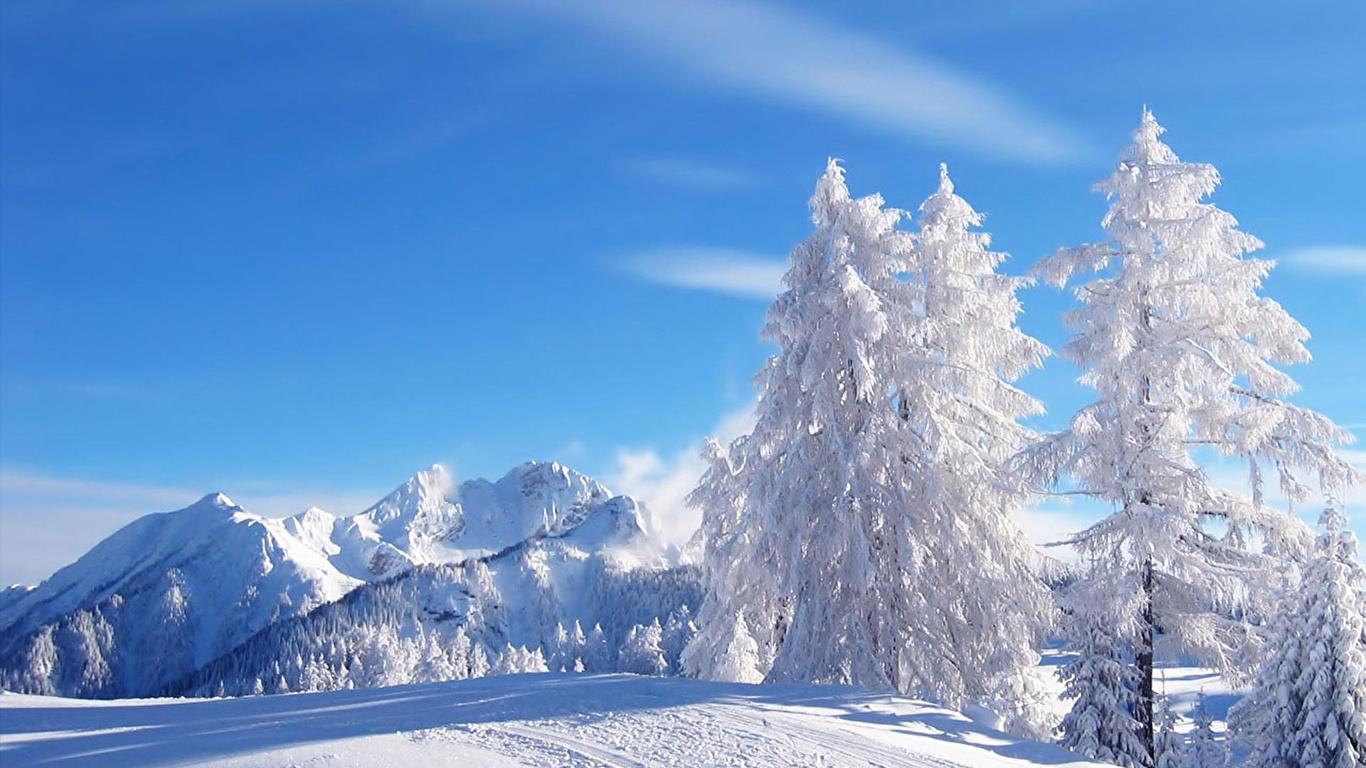 Фотография Зима Природа Времена года 1366x768