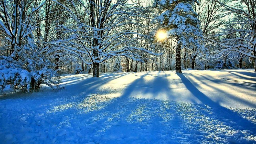 Обои на рабочий стол Лучи солнца пробиваются сквозь красивый зимний лес в  снегу, обои для рабочего стола, скачать обои, обои бесплатно