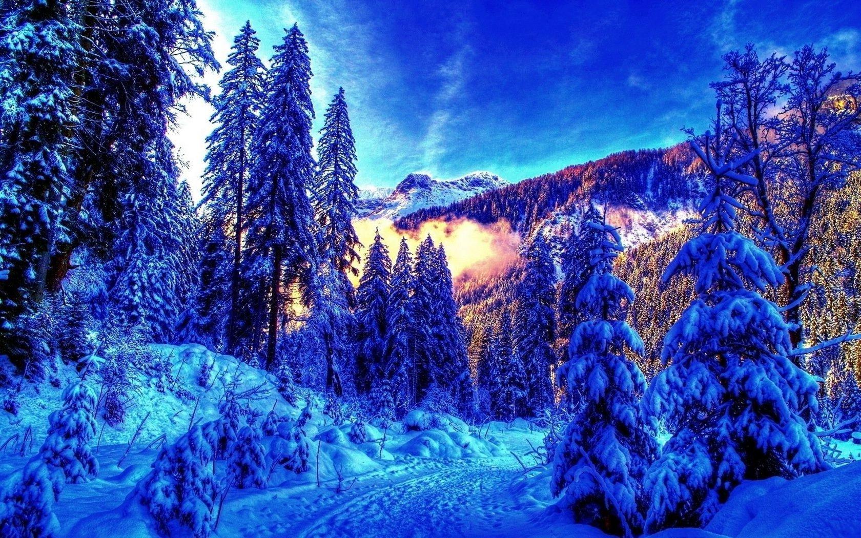 Обои Тающая зима, картинки - Обои для рабочего стола Тающая зима фото из  альбома: (природа)