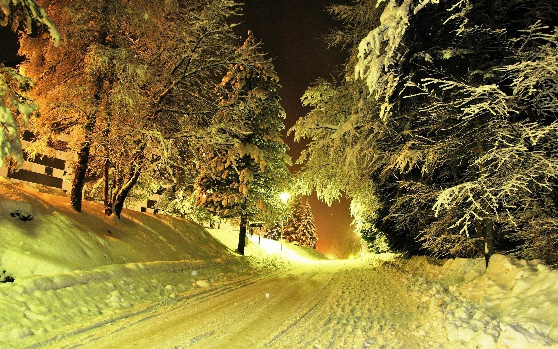 Обои Новый год, Рождественский день, дерево, зима, ветвь - картинка на рабочий  стол и фото бесплатно