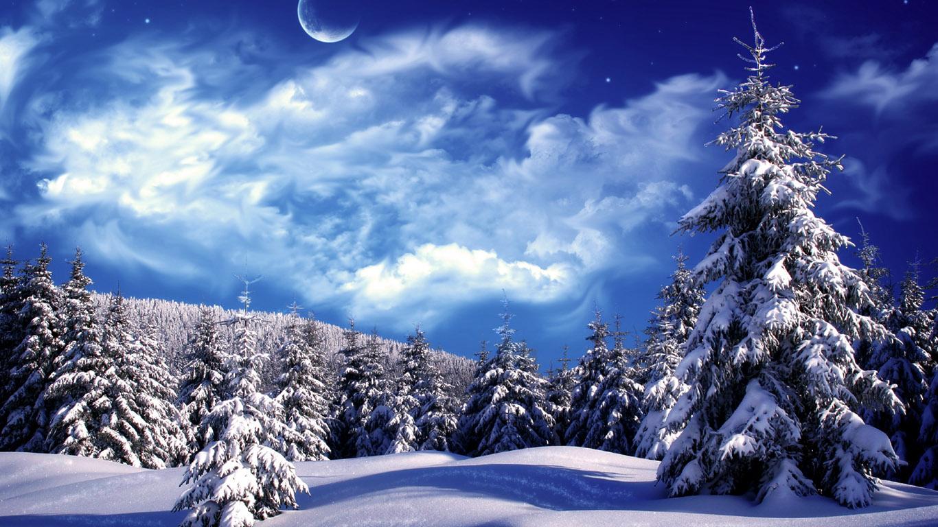 Скачать обои на рабочий стол бесплатно без регистрации в формате 1366x768.  Зима в лесу. Природа, лес, зима, деревья, снег, ель, небо, закат.