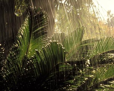 Картинки летний дождь красивые (70 фото) » Картинки и статусы про  окружающий мир вокруг