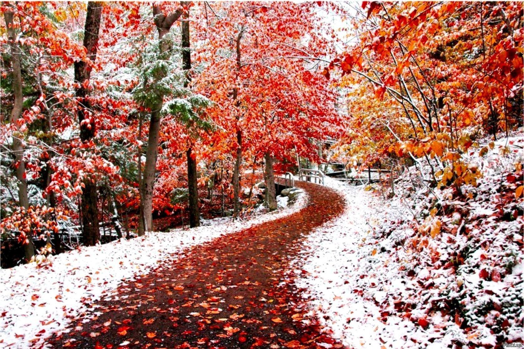 Осень зима (41 фото) - 41 фото