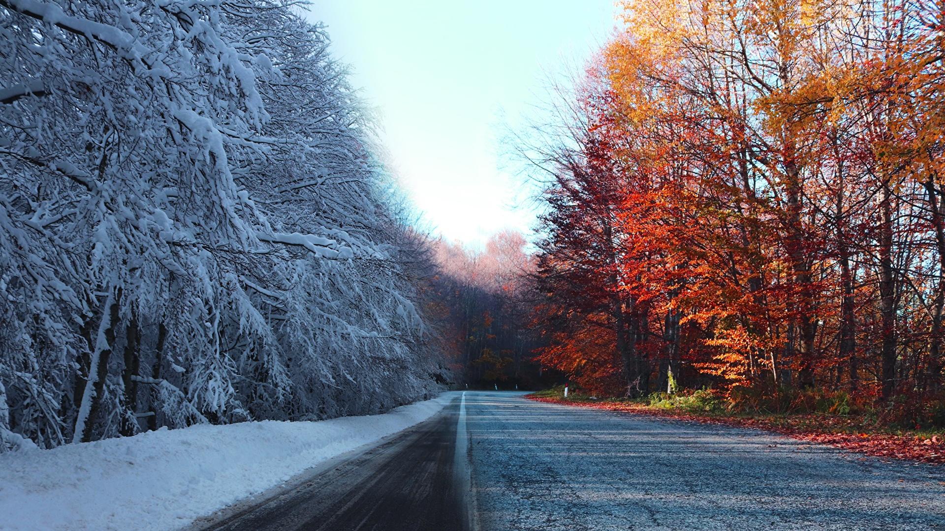 Картинка Зима Осень Природа Снег Дороги дерево 1920x1080