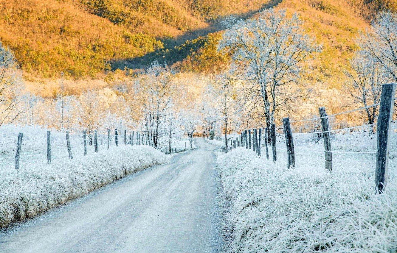 Снег и первые морозы: синоптики рассказали, чего ждать от погоды в ноябре -  ХВИЛЯ