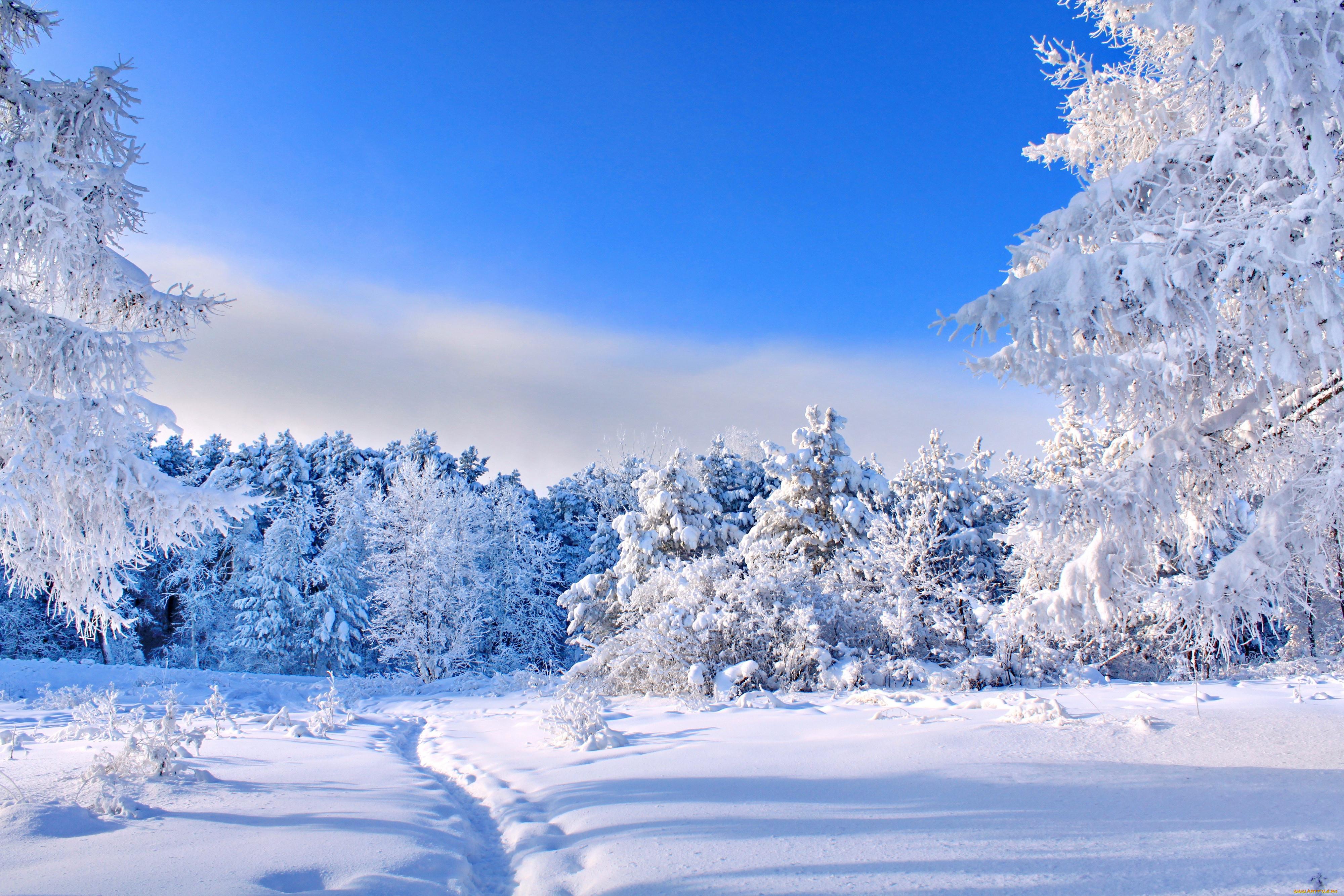 Картинки на рабочий стол природа зима фотографии