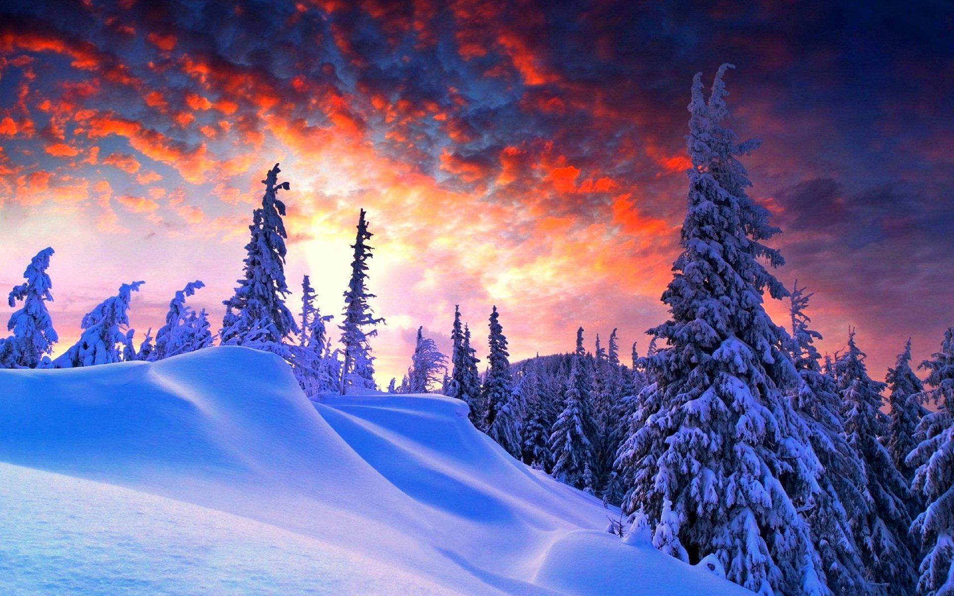 Природа зима обои на рабочий стол - фото и картинки: 66 штук