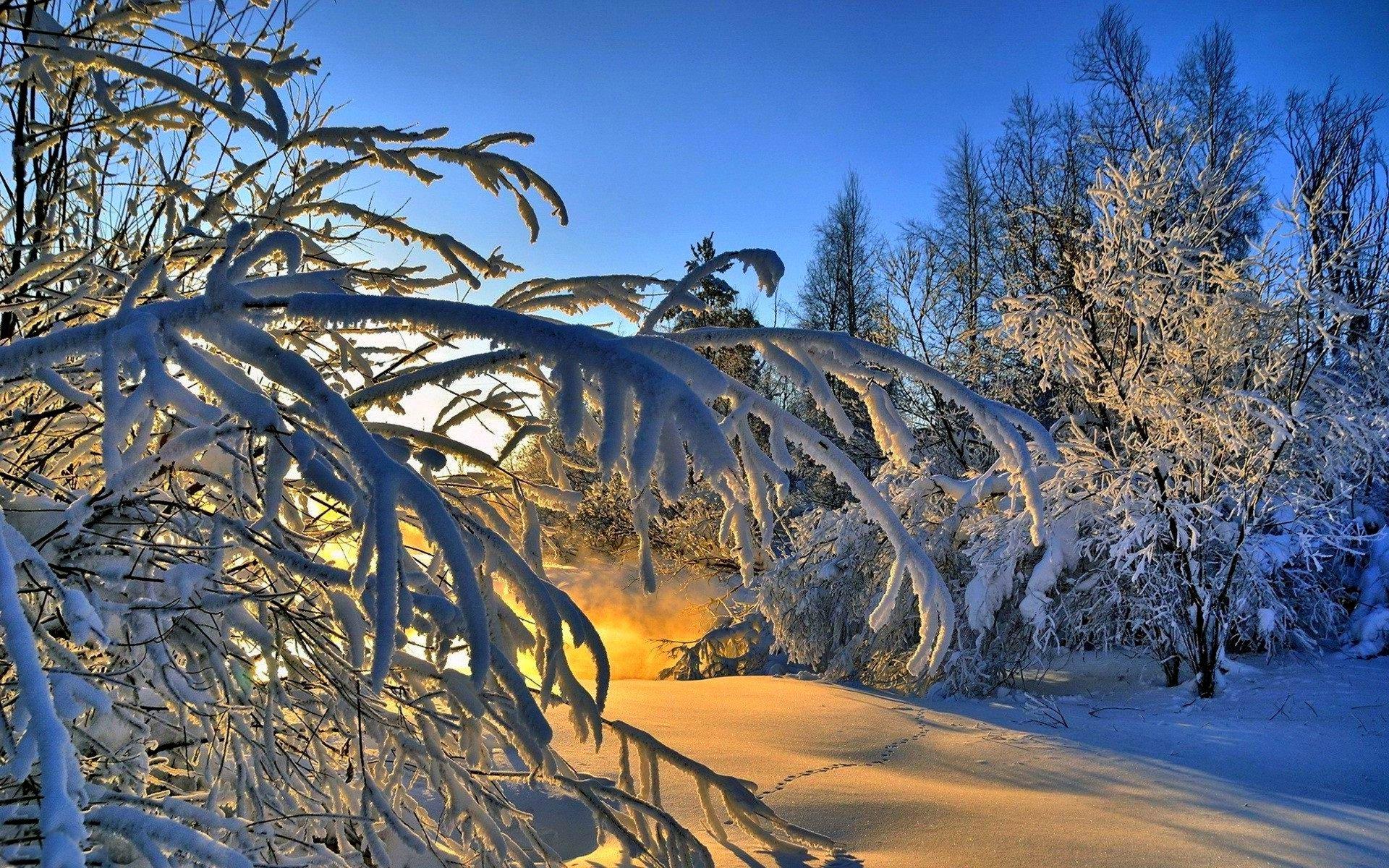 Обои Природа зимой, картинки - Обои для рабочего стола Природа зимой фото  из альбома: (природа)