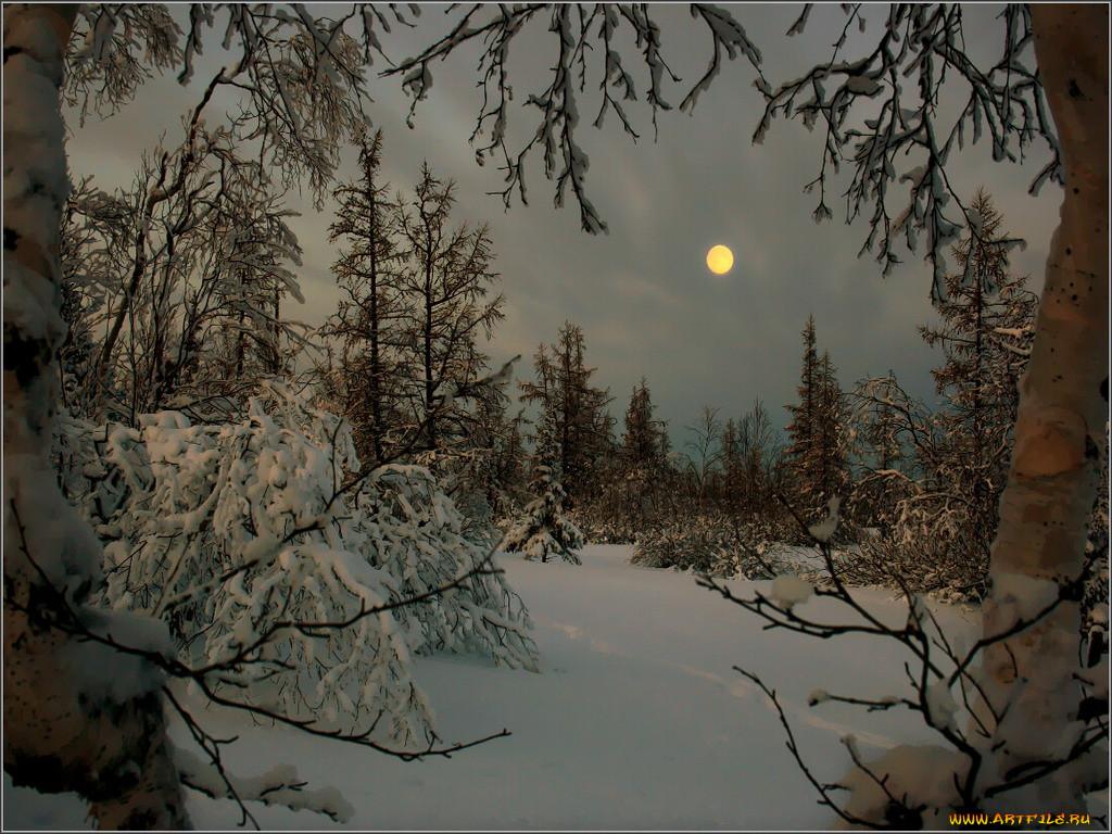 Заставка зимний пейзаж (93 фото) - 93 фото
