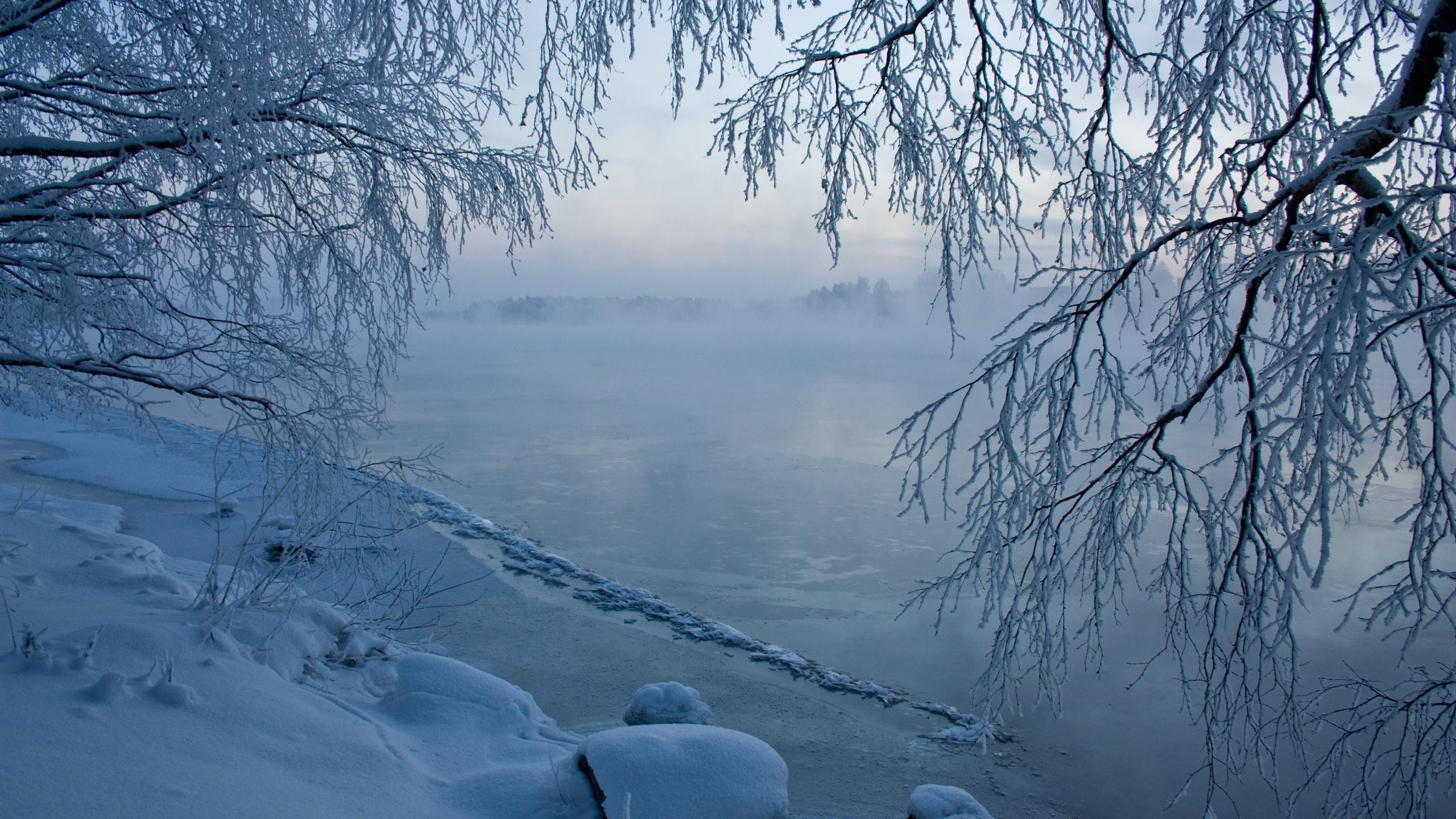 Живой фон зима (56 фото)