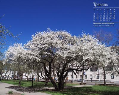 Календарь на рабочий стол с фото Витебска. Май 2014 г. | Народные новости  Витебска