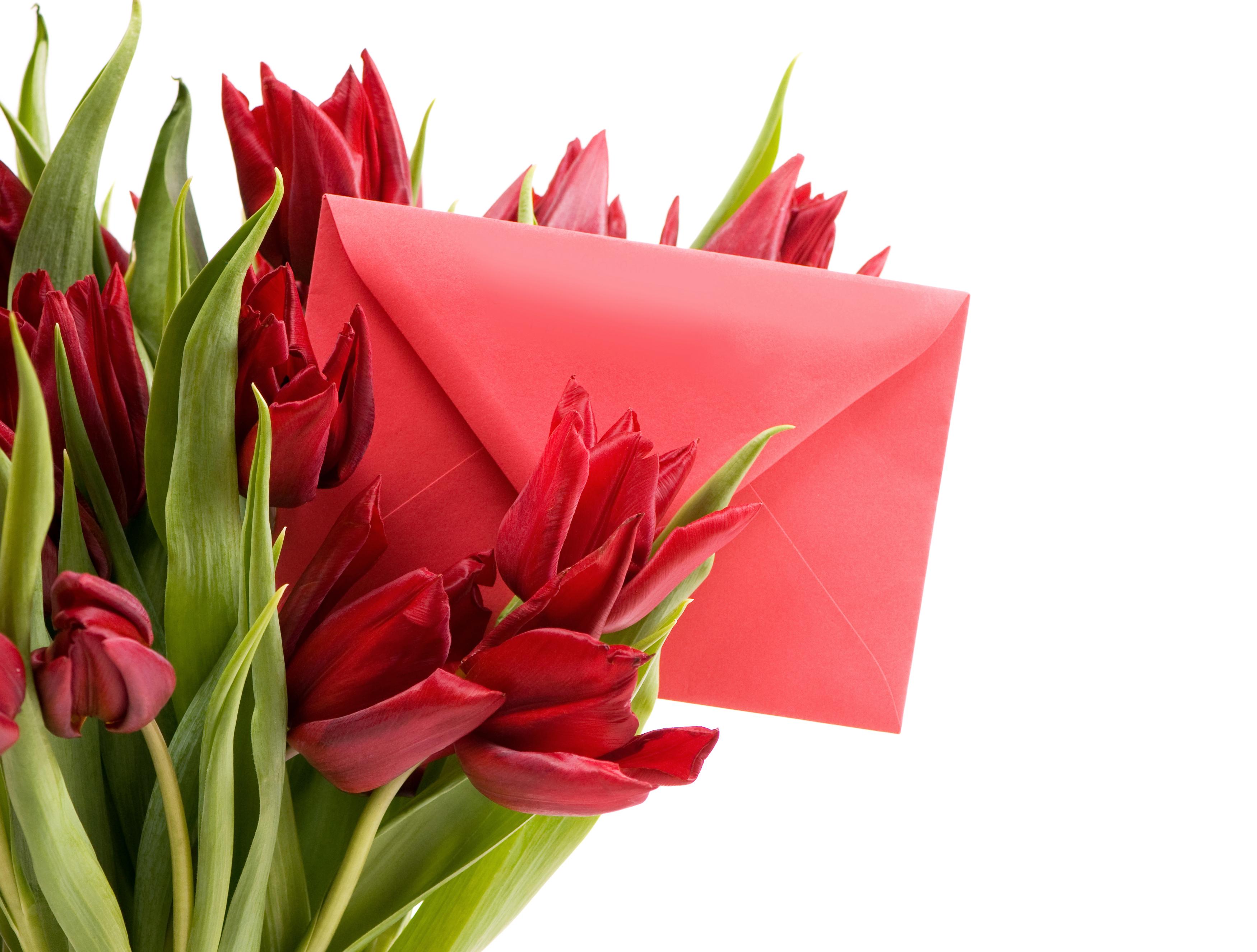Обои Цветы Тюльпаны, обои для рабочего стола, фотографии цветы, гладиолусы,  8, марта, букет, настроение Обои для рабочего стола, скачать обои картинки  заставки на рабочий стол.
