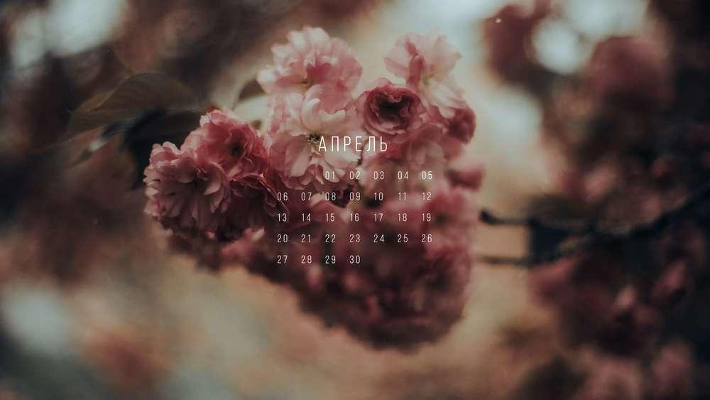 Вдохновляющие обои с календарями на апрель 2018 года для ноутбука, планшета  и телефона - Блог издательства «Манн, Иванов и Фербер»