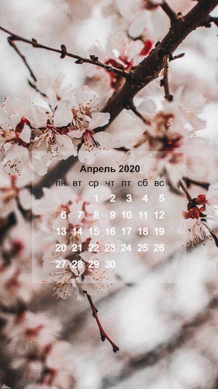 Обои Календари Цветы, обои для рабочего стола, фотографии календари, цветы,  весна Обои для рабочего стола, скачать обои картинки заставки на рабочий  стол.