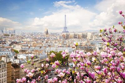 Парижская Весна - 79 фото