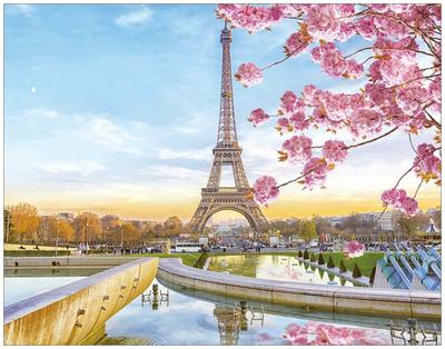 Парижские цветы - 62 фото