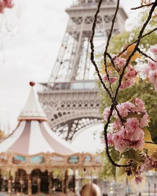 Высокая эйфелева башня в Париже - обои на рабочий стол