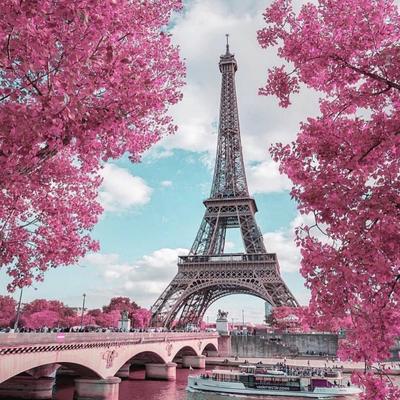 Весна в париже - 77 фото