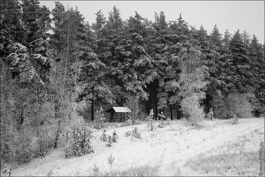 Обои лютая зима, холод, зимний лес, зимний пейзаж, зима 1280x1024